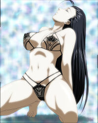 00s 1girl absurdres areola_slip black_bra black_hair black_panties bra breasts closed_eyes guardians highres ikkitousen ikkitousen_great_guardians kakouen_myousai large_breasts long_hair panties solo squatting stitched third-party_edit underboob underwear