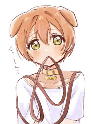Rule 34 | 1girl, animal collar, animal ears, blush, collar, collarbone, dog ears, green eyes, highres, hoshizora rin, kemonomimi mode, leash, leash in mouth, looking at viewer, love live!, love live! school idol project, mouth hold, orange hair, osono (osonokichi), shirt, short hair, short sleeves, simple background, solo, upper body, white background, white shirt