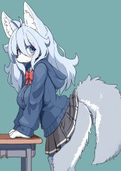 1girl animal_ear_fluff animal_ears bent_over black_skirt blue_eyes blue_hair blue_jacket blush bow bowtie character_request check_copyright clothes_lift copyright_request desk feet_out_of_frame from_side furry green_background grey_fur hair_between_eyes hands_on_table highres hood hooded_jacket jacket kiori_nezumi long_hair looking_at_viewer open_mouth original pleated_skirt red_bow red_bowtie school_desk school_uniform simple_background skirt skirt_lift solo tail white_trim wolf wolf_ears wolf_tail