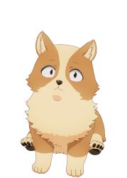 Rule 34 | animal, animal focus, black eyes, brown fur, closed mouth, dog, dog request, full body, highres, inu ni nattara suki na hito ni hirowareta, looking at viewer, no humans, official art, pawpads, pochita (inuhiro), sitting, transparent background