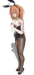 1girl absurdres ahoge alternate_costume animal_ears black_leotard breasts detached_collar fake_animal_ears fake_tail fate/grand_order fate_(series) fujimaru_ritsuka_(female) full_body hair_ornament hair_scrunchie high_heels highleg highleg_leotard highres leotard medium_breasts medium_hair one_side_up orange_eyes orange_hair pantyhose playboy_bunny rabbit_ears rabbit_tail sally_(luna-arts) scrunchie side_ponytail solo strapless strapless_leotard sweat tail white_wrist_cuffs wrist_cuffs yellow_scrunchie