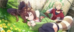 Rule 34 | 1boy, 1girl, :3, animal ears, bandaged arm, bandages, belt, black belt, black choker, black shirt, black shorts, black thighhighs, blonde hair, brown hair, cape, cat ears, choker, closed eyes, closed mouth, collarbone, dappled sunlight, dust (konosuba), flower, fur-trimmed cape, fur trim, game cg, grass, green cape, green jacket, hair belt, hair between eyes, high ponytail, highres, jacket, kono subarashii sekai ni shukufuku wo!, konosuba! fantastic days, lean (konosuba), light rays, long hair, looking at another, lying, multicolored jacket, official art, on ground, on side, open mouth, outdoors, partially unzipped, pink shirt, ponytail, raccoon tail, red eyes, red jacket, scratches, shade, shirt, short hair, short shorts, shorts, sidelocks, sleeping, smile, striped clothes, striped shirt, sunbeam, sunlight, tail, thighhighs, two-tone jacket, white jacket