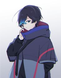Rule 34 | 1boy, 3567days, black hair, blue eyes, coat, digimon, digimon seekers, grey background, grey coat, male focus, nagasumi eiji, short hair, simple background, solo, upper body