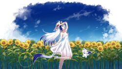 Rule 34 | 1girl, absurdres, animal, animal ears, aomiya yozuri, blue hair, blue sky, breasts, cat, cat ears, cat girl, cat tail, dress, ears through headwear, field, floating, flower, flower field, hat, high heels, highres, indie virtual youtuber, leg up, lens flare, light particles, long hair, looking up, medium breasts, namikawa kuroha, outdoors, outer glow, sky, sleeveless, sleeveless dress, sun hat, sundress, sunflower, sunflower field, tail, virtual youtuber, white dress, white hair, yellow eyes