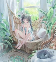 1girl animal_ear_fluff animal_ears barefoot between_legs character_request closed_mouth collarbone commentary_request copyright_request curtains expressionless feet_up frilled_shirt frilled_shorts frills full_body grey_cat grey_eyes grey_hair hair_ornament hair_ribbon hammock hand_between_legs highres indoors korean_commentary long_hair looking_at_viewer nabi_(uz02) on_hammock pet pillow plant potted_plant ribbon rug shirt short_shorts shorts sitting sleeping_animal sleeveless sleeveless_shirt solo toenails triangle_hair_ornament twintails white_ribbon white_shirt white_shorts window x_hair_ornament
