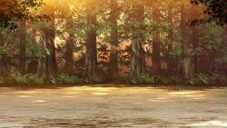 Rule 34 | bush, dappled sunlight, dirt road, fence, fern, forest, grass, highres, nature, non-web source, official art, our life: beginnings and always, outdoors, park, road, rock, scenery, sunlight, sunset, tree, variant set, wooden fence