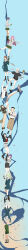 Rule 34 | 6+girls, :3, absurdres, ave mujica (bang dream!), bang dream!, bang dream! it&#039;s mygo!!!!!, baseball cap, belt, bird, black belt, black boots, black hair, black hat, black ribbon, black shirt, black skirt, blonde hair, blue background, blue eyes, blue shirt, blue skirt, boots, breasts, brown hair, brown pants, brown shirt, brown shoes, chihaya anon, cleavage, commentary, crop top, crychic (bang dream!), durarara!!, english commentary, everyone, falling petals, fang, green hair, green jacket, green necktie, green skirt, green socks, grey hair, grey jacket, grey neckerchief, grey shirt, grey skirt, hair between eyes, hair ribbon, haneoka school uniform, hat, heterochromia, high heels, highres, holding, holding microphone, holding notebook, incredibly absurdres, jacket, jewelry, kaname raana, kneehighs, layered sleeves, loafers, long hair, long image, long sleeves, matcha parfait, medium hair, medium skirt, microphone, midriff, misumi uika, multiple girls, mygo!!!!! (bang dream!), nagasaki soyo, neckerchief, necklace, necktie, notebook, off-shoulder shirt, off shoulder, one eye closed, open clothes, open jacket, open mouth, own hands together, pants, penguin, petals, pink eyes, pink hair, pleated skirt, purple eyes, purple hair, rainbow hose, red shirt, ribbon, school uniform, shiina taki, shirt, shoes, short hair, short over long sleeves, short sleeves, simple background, skirt, smile, socks, sumimi (bang dream!), sumita mana, sunglasses, sweatdrop, takamatsu tomori, tall image, togawa sakiko, trust me (durarara!!), tsukinomori school uniform, unworn eyewear, wakaba mutsumi, white hair, white jacket, white shirt, yahata umiri, yellow eyes, yuutenji nyamu