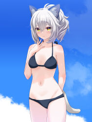 1girl animal_ear_fluff animal_ears arm_behind_back bare_arms bare_shoulders bikini black_bikini blue_sky blush breasts cat_ears cat_girl cat_tail closed_mouth cloud collarbone cowboy_shot day genderswap genderswap_(ftm) grey_hair groin hair_between_eyes halterneck hand_up highres long_hair looking_at_viewer medium_breasts navel necomaid_(vrchat) outdoors ponytail sky small_breasts smile solo standing stomach suzuki-shi swimsuit tail thighs vrchat yellow_eyes