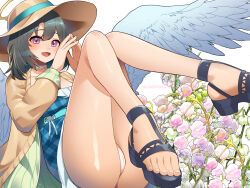 Rule 34 | 1girl, :d, angel, angel (last origin), angel wings, ass, barefoot, black hair, black sandals, blue dress, blush, breasts, brown jacket, cameltoe, choker, collarbone, dress, egyptian toe, flower, flower request, frilled dress, frills, gold halo, green jacket, hair between eyes, halo, hat, highres, jacket, last origin, looking at viewer, medium breasts, multicolored jacket, open mouth, panties, pink flower, pixiv id, plaid clothes, plaid dress, purple eyes, purple flower, sandals, shiny skin, short hair, signature, smile, solo, steepled fingers, sun hat, tongue, twitter username, two-tone jacket, umigarasu (kitsune1963), underbust, underwear, white choker, white flower, white panties, wings
