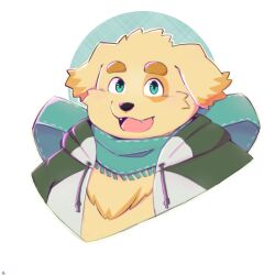 1boy animal_ears colored_tips commentary cu_sith_(housamo) dog_boy dog_ears dog_nose english_commentary fangs floppy_ears furry furry_male green_eyes green_jacket green_scarf highres jacket looking_at_viewer male_focus multicolored_hair open_clothes open_jacket open_mouth popolipo scarf smile tokyo_houkago_summoners upper_body yellow_fur