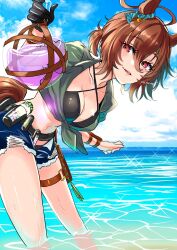 1girl agnes_tachyon_(lunatic_lab)_(umamusume) agnes_tachyon_(umamusume) ahoge animal_ears bikini black_bikini black_gloves blue_shorts blue_sky breasts brown_hair cleavage commentary cowboy_shot criss-cross_halter ear_ornament feet_out_of_frame flask gloves green_jacket grin groin hair_between_eyes halterneck highres horse_ears horse_girl horse_tail huge_ahoge jacket kii-kun_(agnes_tachyon)_(umamusume) micro_shorts midriff navel official_alternate_costume official_alternate_hairstyle open_clothes open_fly open_shorts outdoors ponytail red_eyes round-bottom_flask satou_ramune short_ponytail shorts single_glove sketch sky smile solo strap_pull swimsuit tail test_tube tied_jacket torn_clothes torn_shorts twitter_username umamusume wet