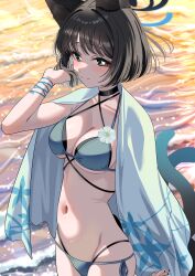 1girl absurdres animal_ears bikini black_eyes black_hair blue_archive blue_bikini blue_haori blush breasts cat_ears cat_girl cat_tail closed_mouth hand_in_own_hair haori highres ito_(ito577) japanese_clothes kikyou_(blue_archive) kikyou_(swimsuit)_(blue_archive) multiple_tails navel official_alternate_costume short_hair smile solo stomach swimsuit tail two_tails