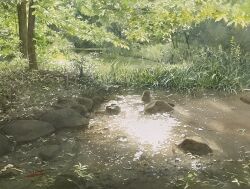 abe_toshiyuki dappled_sunlight day grass highres no_humans original outdoors painting_(medium) rock scenery shade signature sunlight traditional_media tree water watercolor_(medium)