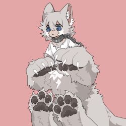 Rule 34 | 1girl, :&lt;, animal ears, animal hands, blue eyes, chain, chain leash, claws, collar, commentary request, grey hair, highres, leash, metal collar, monster girl, original, pink background, shirt, short hair, simple background, solo, taur, tentoumusi 0107, white shirt, wolf ears, wolf girl
