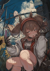 1girl angelina_(arknights) animal_ears arknights black_choker black_gloves blue_sky brown_eyes brown_hair cellphone chain-link_fence choker cloud commentary_request dot_nose earbuds earphones extra_ears fence flower fox_ears fox_girl gloves hairband hands_up highres holding holding_phone infection_monitor_(arknights) jacket kirihara_aki long_sleeves medium_hair multicolored_jacket open_clothes open_jacket open_mouth outdoors phone red_hairband red_jacket road_sign sign sky smartphone socks solo squatting striped_clothes striped_socks sunflower sweat twintails two-tone_jacket white_jacket