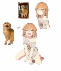 2794938064 :3 bare_shoulders fang green_eyes hair_between_eyes humanization kneeling looking_at_viewer meme multiple_views off-shoulder_shirt off_shoulder original photo-referenced round-headed_mao_die round-headed_mao_die_(meme) shirt white_background