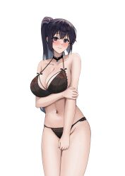 1girl absurdres arm_under_breasts black_bra black_choker black_hair black_panties blush bra breasts choker cleavage closed_mouth collarbone commentary commission groin halterneck hibike!_euphonium high_ponytail highres holding_own_arm kousaka_reina large_breasts long_hair looking_at_viewer micro_panties navel panties pixiv_commission ponytail purple_eyes simple_background smodzz998 solo standin standing string_bra string_panties thighs underwear underwear_only white_background