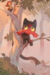 :&lt; bird bush closed_mouth commentary_request gen_7_pokemon highres litten looking_up nintendo no_humans on_branch outdoors pikipek pokemon pokemon_(creature) signature tree yungoos zkoal