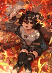1girl :d absurdres acorn acorn_pendant animal_ears arm_at_side arm_up autumn belt black_hair black_jacket black_thighhighs blurry bob_cut borrowed_character breasts commission cowlick crop_top dappled_sunlight day depth_of_field dog_ears double-parted_bangs falling_leaves fang feet_out_of_frame from_above hair_between_eyes hand_on_floor hand_rest happy highres holding holding_leaf jacket jewelry leaf long_sleeves midriff morita_imori multicolored_hair navel necklace on_ground open_mouth original outdoors partially_open_jacket second-party_source shade shirt sitting small_breasts smile solo sparkle streaked_hair sunlight thigh_belt thigh_strap thighhighs tree white_shirt yellow_eyes zettai_ryouiki