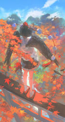 1girl autumn_leaves black_hair black_skirt black_wings blue_sky chinese_commentary commentary cui_(jidanhaidaitang) day facing_away feathered_wings feathers full_body geta hand_fan hat hauchiwa highres holding holding_fan leaf long_sleeves outdoors pom_pom_(clothes) red_hat shameimaru_aya shirt short_hair skirt sky socks solo standing tengu-geta tokin_hat torii touhou white_shirt white_socks wings