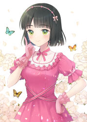 Rule 34 | 1girl, black hair, blue butterfly, blunt bangs, blunt ends, blush, breasts, bug, butterfly, closed mouth, commentary request, cowboy shot, dress, floral background, flower, frilled dress, frilled gloves, frills, gloves, green eyes, hairband, highres, index finger raised, insect, link! like! love live!, looking at viewer, love live!, medium breasts, momose ginko, orange butterfly, pink dress, pink gloves, pink hairband, puffy short sleeves, puffy sleeves, reflection in the mirror (love live!), sakurai makoto (custom size), short hair, short sleeves, smile, solo, virtual youtuber, white background, white flower, yellow butterfly