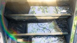 banishment commentary_request day no_humans original outdoors railing rainbow reflection scenery signature stairs sunlight tree water