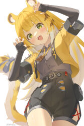 1girl absurdres animal_ear_fluff animal_ears blonde_hair blush breasts claw_pose colored_inner_hair cowboy_shot cropped_jacket fang fingerless_gloves gloves green_eyes highres jacket ju_fufu long_hair looking_at_viewer multicolored_hair open_mouth shorts signature simple_background small_breasts solo tail tiger_ears tiger_girl tiger_tail white_background xiaofan2005 yellow_jacket zenless_zone_zero