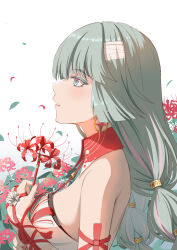 Rule 34 | 1girl, absurdres, bare shoulders, blue eyes, breasts, commentary request, earrings, flower, grey hair, highres, holding, holding flower, jewelry, long hair, looking up, mdzzrbq233, medium breasts, multicolored hair, parted lips, partial commentary, phrolova (wuthering waves), simple background, solo, spider lily, streaked hair, upper body, white background, wuthering waves