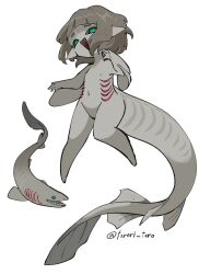 1girl animal aqua_eyes brown_hair colored_skin fins fish_tail full_body gills grey_skin highres looking_at_viewer monster_girl nipples original pointy_ears shark shark_girl shark_tail sharp_teeth short_hair simple_background solo tail teeth torori_toro_(oimo_kenpi) white_background