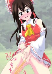 blush detached_sleeves hakurei_reimu peeing pussy touhou