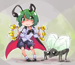 1girl antennae bug cape chibi female_focus fly green_eyes green_hair insect instrument matching_hair/eyes mini_person minigirl shinapuu short_hair shorts smile solo tambourine touhou wriggle_nightbug
