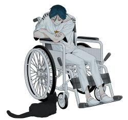 1boy absurdres black_cat cat closed_mouth commentary_request crossed_arms full_body hair_between_eyes highres looking_at_animal looking_down maelo male_focus meguriya_ayumu pants shirt shoes short_hair short_sleeves simple_background sitting smile solo toshi_densetsu_kaitai_center triangle_necklace wheelchair white_background white_pants white_shirt white_shoes