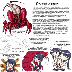 &gt;_&lt; 2girls bestiality giving_birth black_hair blush closed_eyes cum cum_in_pussy english_text gall_(lunaticwoe) interspecies lobster looking_at_viewer md5_mismatch multiple_girls original penis pregnant school_uniform sex simple_background skirt smile solo_focus text_focus twintails u30acu30eb warped_apple white_background