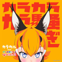 Rule 34 | + +, 1girl, album cover, animal ears, blue eyes, blush, caracal (kemono friends), cat ears, cat girl, copyright name, cover, extra ears, highres, kemono friends, kemono friends v project, long hair, looking at viewer, official art, orange background, orange hair, simple background, solo, translation request, virtual youtuber