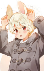 Rule 34 | 1boy, animal ears, arms up, chinese zodiac, coat, collared shirt, commentary request, cowboy shot, dated, dot nose, double-parted bangs, far tarooo, grey coat, hair between eyes, highres, layered sleeves, long sleeves, looking at viewer, male focus, open mouth, orange eyes, original, rabbit boy, rabbit ears, rabbit pose, shirt, solo, teeth, twitter username, upper body, upper teeth only, white hair, white shirt, wing collar, year of the rabbit