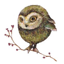Rule 34 | amano sizuku, animal, animal focus, bird, branch, commentary request, marker (medium), no humans, original, owl, simple background, traditional media, white background