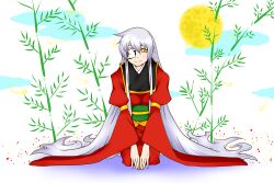 Rule 34 | 1girl, absurdly long hair, adapted costume, bamboo, chinese zodiac, closed mouth, commentary request, eyepatch, full body, full moon, green sash, grey hair, high priest (ragnarok online), japanese clothes, juliet sleeves, kimono, long hair, long sleeves, looking at viewer, moon, new year, obi, puffy sleeves, ragnarok online, red kimono, sash, seiza, sera (hitsuji to kitsune), sitting, smile, solo, very long hair, year of the rabbit, yellow eyes