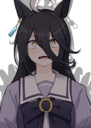 Rule 34 | 2girls, agnes tachyon (umamusume), ahoge, animal ears, black hair, bow, commentary request, hair between eyes, highres, horse ears, horse girl, long hair, manhattan cafe (umamusume), miya nns35, multicolored hair, multiple girls, open mouth, puffy short sleeves, puffy sleeves, purple bow, purple shirt, school uniform, shadow, shirt, short hair, short sleeves, simple background, solo focus, streaked hair, summer uniform, sweat, teeth, tracen school uniform, umamusume, upper teeth only, white background, white hair, yellow eyes
