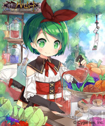 10s 1girl blush cabbage carrot corset day detached_collar eggplant female_focus flask food green_eyes green_hair juice matching_hair/eyes plant potato pumpkin round-bottom_flask saru shingeki_no_bahamut short_hair smile solo sparkle swept_bangs vegetable weapon weapon_on_back
