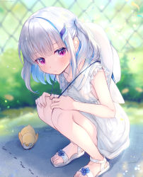 1girl absurdres aged_down animal ant bare_arms bare_shoulders bird blue_flower blue_hair blurry blurry_background blush bug chain-link_fence closed_mouth collared_dress commentary_request day depth_of_field dress duck fence flower hair_ornament hat_on_back highres insect light_frown lize_helesta long_hair looking_at_viewer monocle multicolored_hair nijisanji one_side_up outdoors purple_eyes sandals sebastian_piyodore silver_hair sleeveless sleeveless_dress squatting two-tone_hair virtual_youtuber white_dress white_footwear white_headwear yunmi_0527