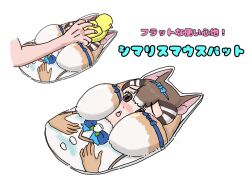 Rule 34 | 1girl, animal ears, bird, blush, breast mousepad, brown eyes, brown hair, chipmunk ears, chipmunk girl, extra ears, flat chest, kemono friends, kemono friends v project, mousepad, multicolored hair, open mouth, ribbon, shirt, short hair, siberian chipmunk (kemono friends), simple background, striped hair, taku san39, vest, virtual youtuber, you&#039;re doing it wrong