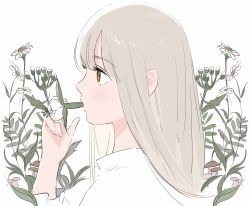 1girl bad_id bad_twitter_id dungeon_meshi falin_touden falin_touden_(tallman) flower flower_in_mouth frs2 grey_hair highres long_hair mushroom profile shirt simple_background white_background white_shirt yellow_eyes