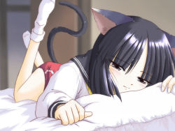 1girl animal_ears black_eyes black_hair bobby_socks buruma cat_ears cat_girl cat_tail female_focus kashiwagi_kaede kizuato lying on_stomach school_uniform serafuku short_hair socks solo tail takano_hayato