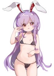 1girl absurdres animal_ears bikini black_bikini breasts floppy_ears gumingdi_ban hair_between_eyes hand_up highres long_hair looking_at_viewer open_mouth purple_hair rabbit_ears rabbit_girl red_eyes reisen_udongein_inaba sidelocks simple_background small_breasts solo standing stomach string_bikini swimsuit touhou very_long_hair white_background