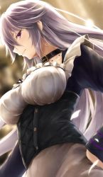 1girl blurry blurry_background blush borrowed_character breasts choker collarbone corset dress expressionless female_focus framed_breasts frills hair_between_eyes hand_on_own_hip large_breasts long_hair long_sleeves looking_at_viewer original petals purple_eyes silver_hair solo suien tsurime upper_body