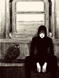 1girl animal bird greyscale highres hime_cut long_hair long_sleeves looking_at_viewer monochrome original owl sitting solo tp_p_pt train_interior window