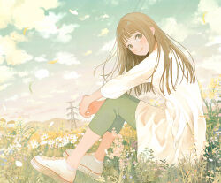 1girl blue_sky blush brown_eyes brown_hair cloud field flower flower_field green_pants long_hair long_sleeves looking_at_viewer meadow nakamura_hinata original outdoors pants power_lines shirt shoes sitting sky smile sneakers solo transmission_tower white_flower white_shirt white_shoes