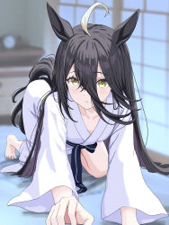Rule 34 | 1girl, ahoge, all fours, animal ears, black hair, breasts, collarbone, commentary request, futon, hair between eyes, highres, horse ears, horse girl, horse tail, japanese clothes, kimono, long hair, long hair between eyes, long sleeves, looking at viewer, manhattan cafe (umamusume), multicolored hair, obi, parted lips, sash, shouji, sliding doors, small breasts, solo, table, tail, umamusume, very long hair, white hair, white kimono, yellow eyes, yukata, zenbrush2