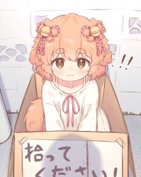 ! !! 1girl absurdres animal_ears bell bow box bra_strap brown_eyes collarbone commentary_request dog_ears dog_girl dog_tail dot_nose floppy_ears for_adoption hair_bell hair_ornament highres in_box in_container inuakari_suzu_(inuakarisan) inuakarisan long_sleeves looking_at_viewer md5_mismatch notice_lines orange_hair original outdoors pink_bow pov pov_shadow revision shadow shirt shirt_bow short_hair sitting solo tail thick_eyebrows translated wavy_mouth white_shirt