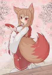 1girl absurdres animal_ears blush brown_hair cherry_blossoms closed_mouth cup fox_ears fox_girl fox_tail hakama hakama_skirt highres holding holding_cup japanese_clothes long_hair long_sleeves looking_at_viewer miko nikaon original red_eyes red_hakama red_skirt ribbon-trimmed_skirt ribbon-trimmed_sleeves ribbon_trim sakazuki shirt skirt smile solo standing tail white_shirt wide_sleeves